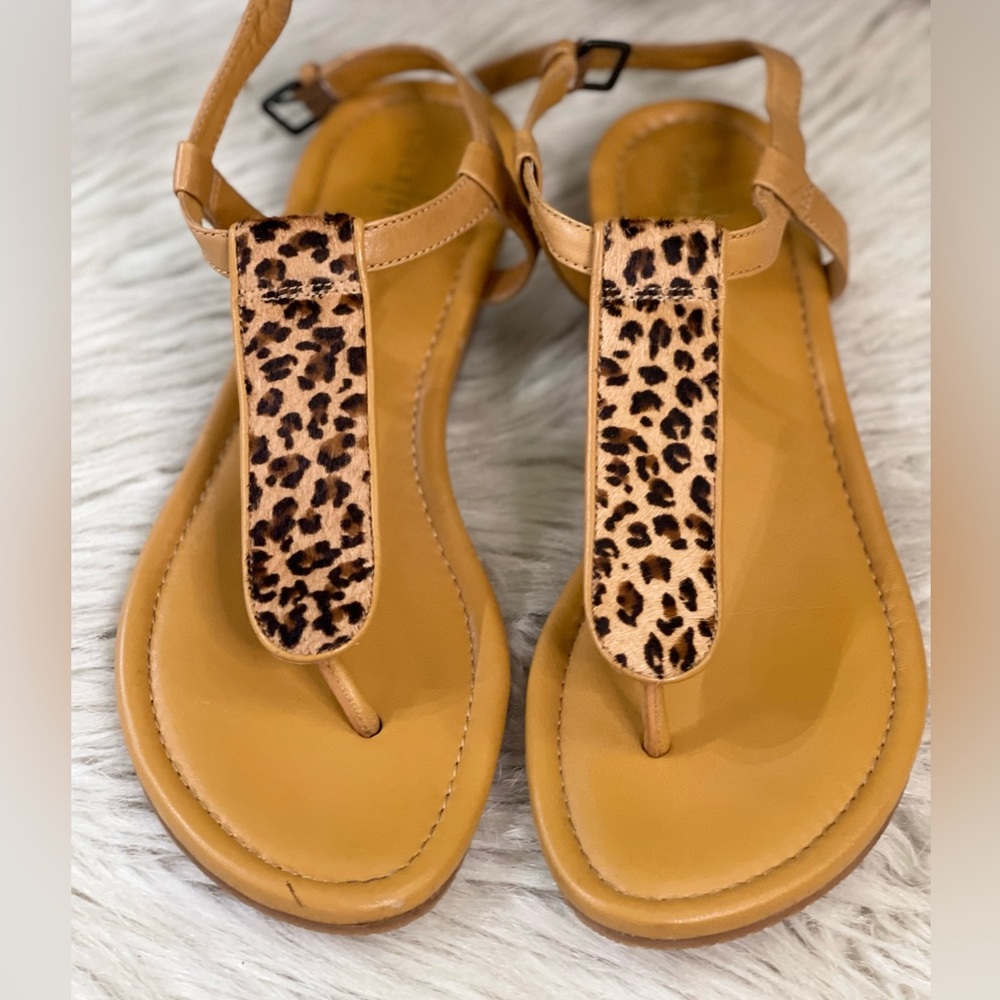 Cole Haan Molly Black Snake Sandals.